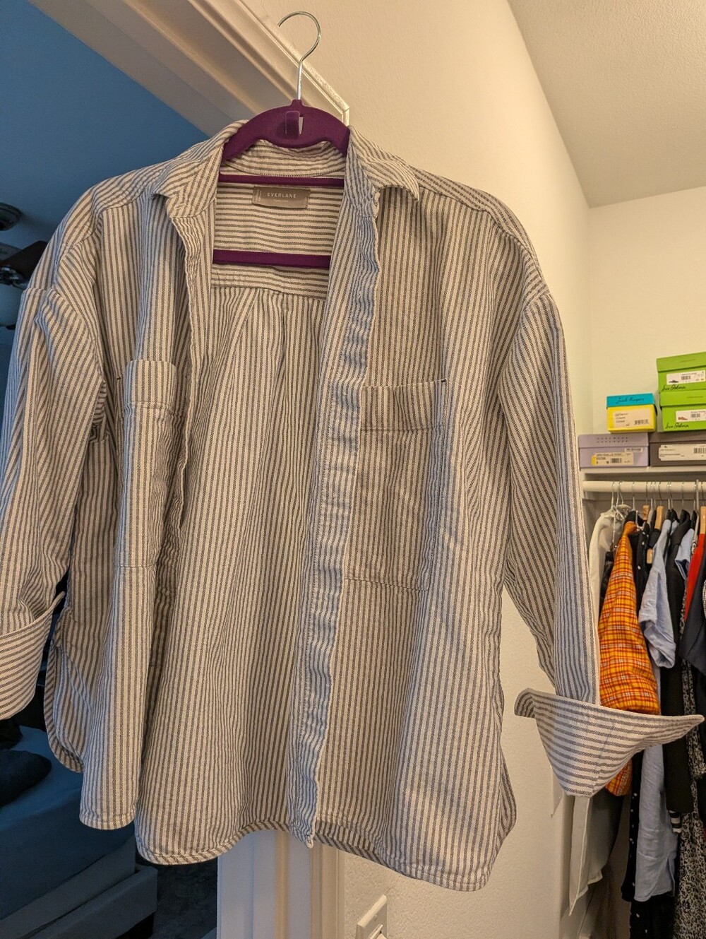 Everlane The Must-Have Oxford Shirt